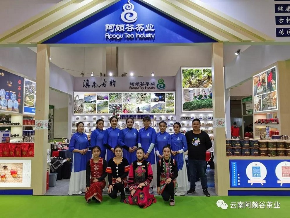 企业动态|2019年北京秋季茶业博览会